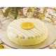 Torta Chantilly Arancia 1,2 KG