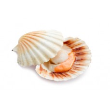 Capesante mezzo guscio 1 KG