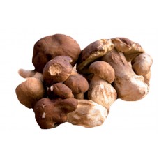 Funghi Porcini Interi 1 KG